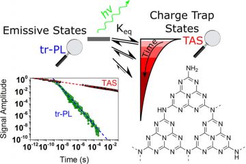 Study of charge carrier dynamics in carbon nitride reveals key role of charge trapping